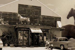 COUNTRY STORE 501